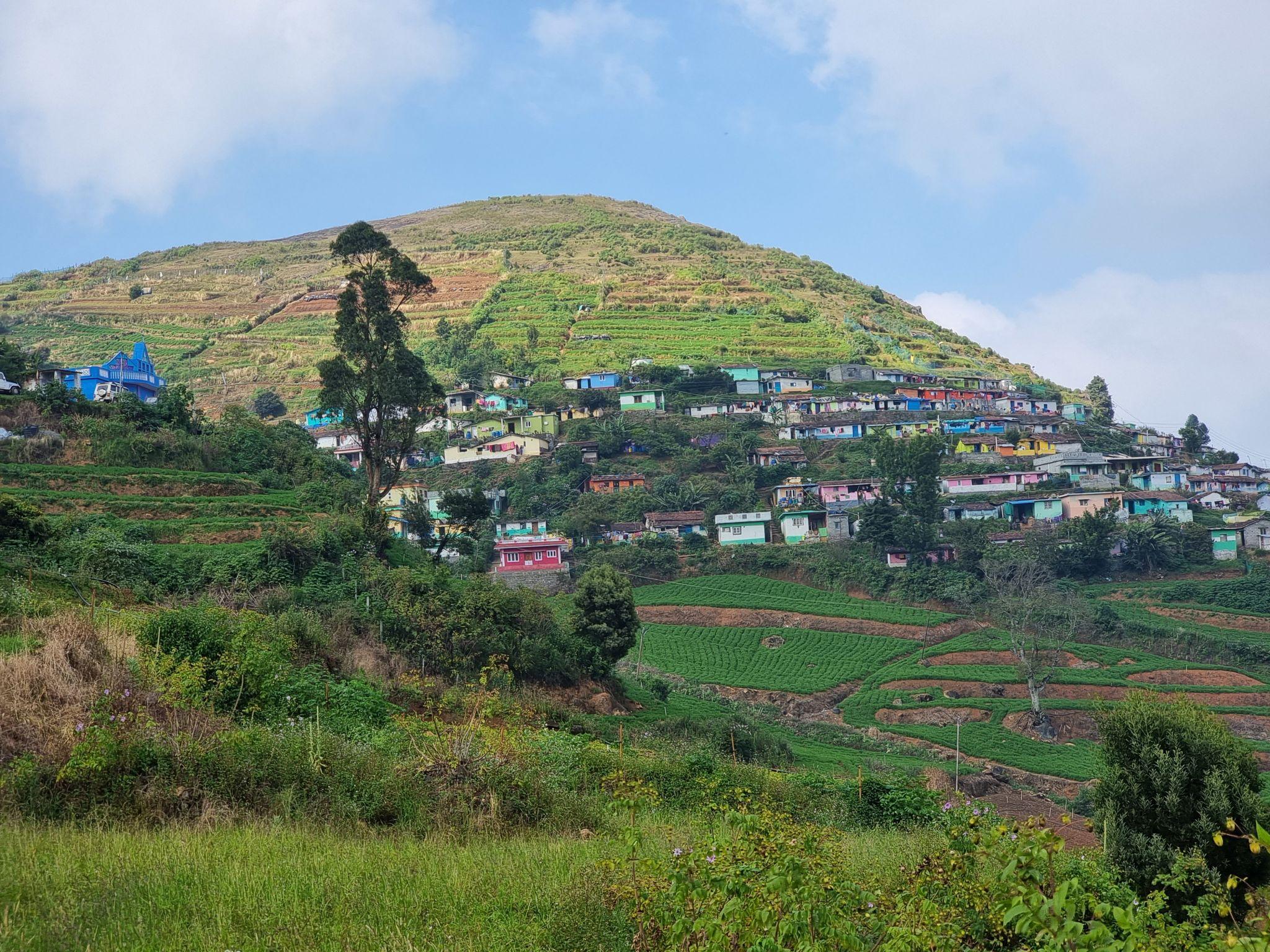 Ooty