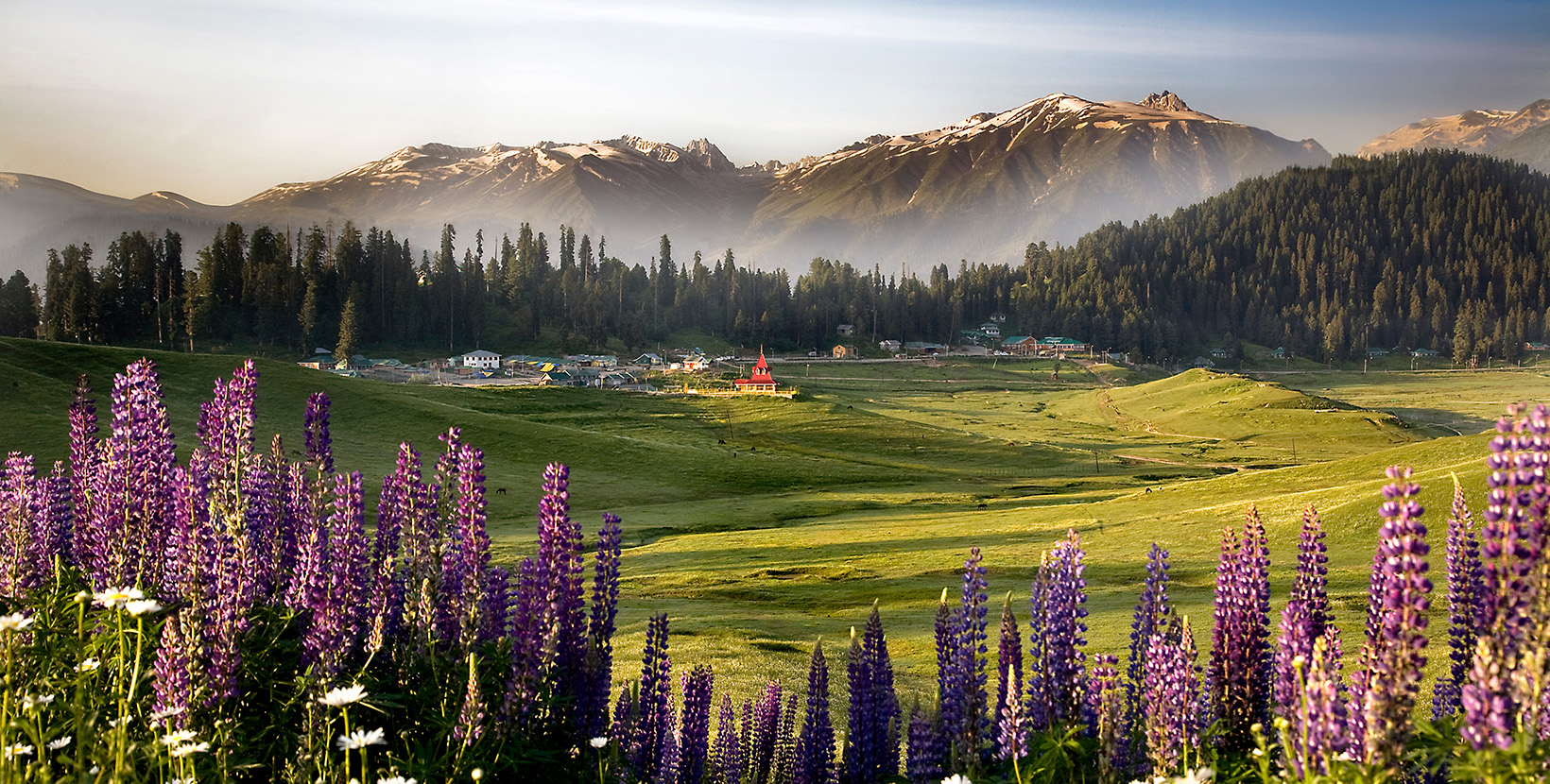 Kashmir